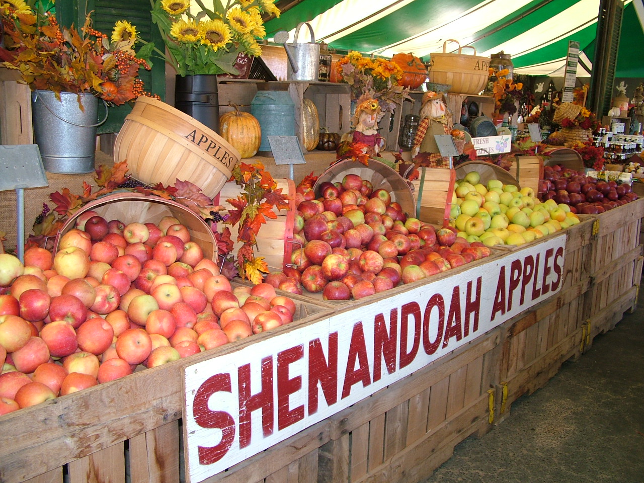 Burke VA Perennials Trees & Shrubs For Sale | Burke Nursery & Garden Centre